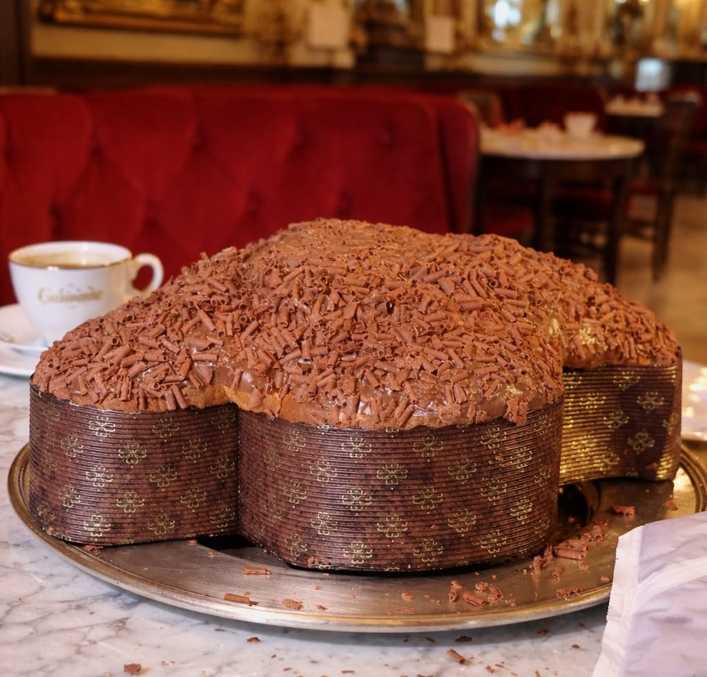 Colombe Gambrinus 2026